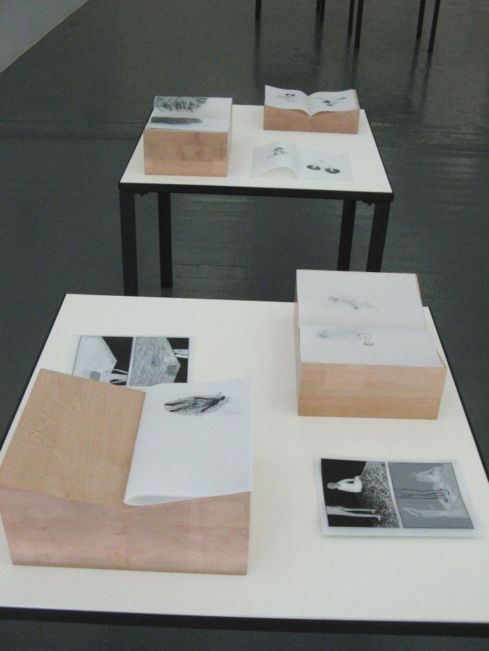 Click the image for a view of: Swoon. Installation of 15 artist s books. 2011. Ink on drafting film